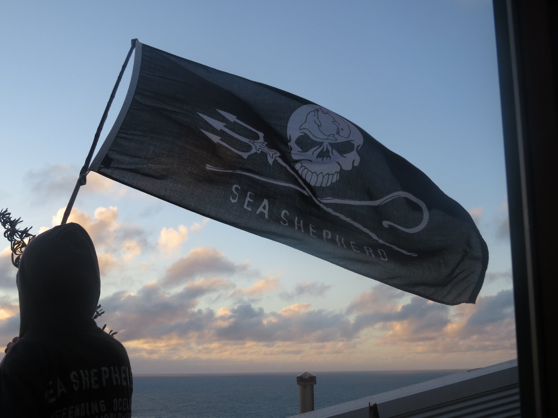 Sea Shepherd - Ever wonder about the significance of our Jolly Roger logo?  The Jolly Roger logo stands for the good pirates (Sea Shepherd) who pursue  the bad pirates (driftnetters, whalers, sealers